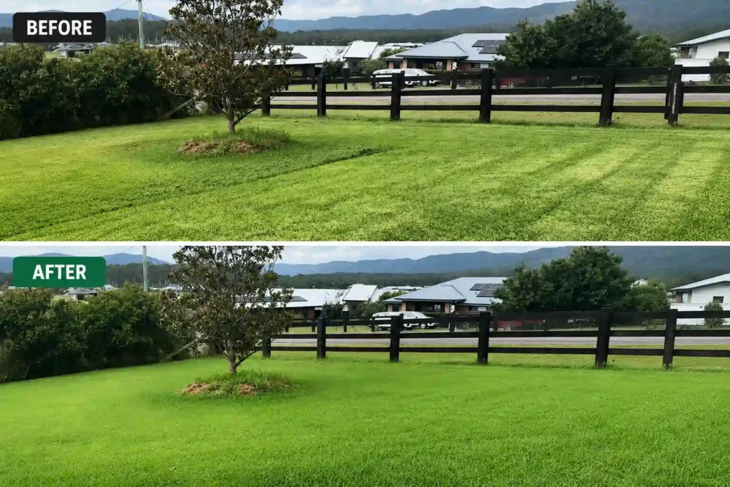 lawn care