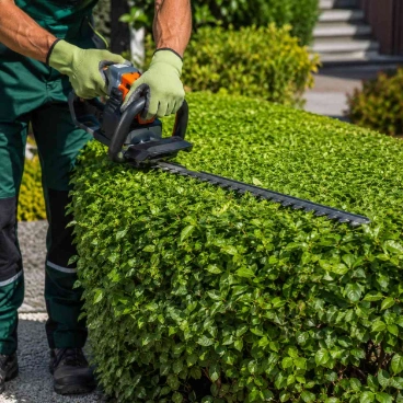 shrub and hedge trimming